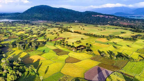 Dẻo thơm gạo sạch Nàng Nhen