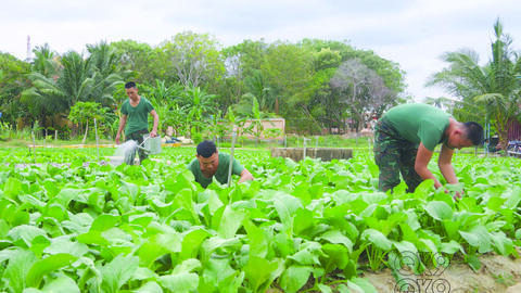ĐẨY MẠNH TĂNG GIA TRÊN ĐẢO