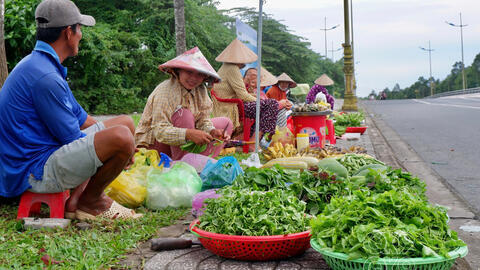 "RAU TẬP TÀNG" THƯƠNG NHỚ