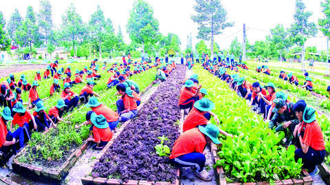 RÈN LUYỆN ĐỂ TRƯỞNG THÀNH