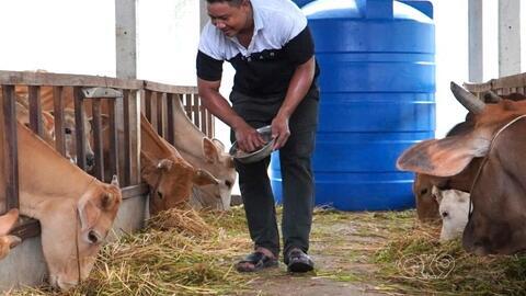 Làm giàu trên đất khó