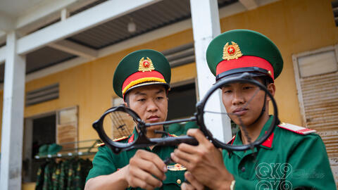 Trung đoàn 3 với Cuộc vận động 50