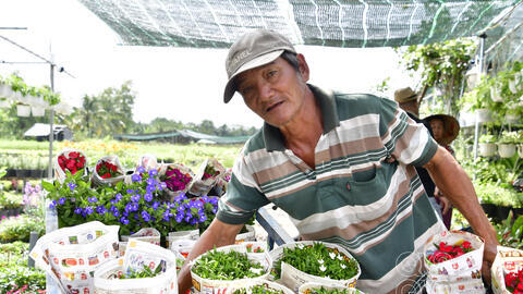 Chuyện “tình” ở Làng hoa Sa Đéc