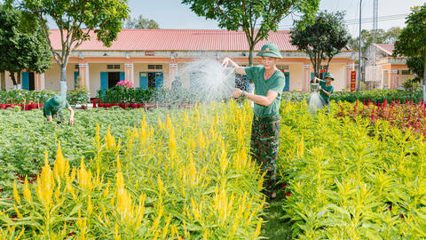 Doanh trại rợp sắc hoa