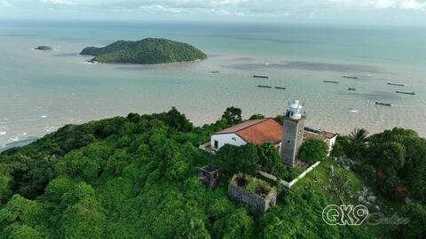 Tiếng vọng từ biển