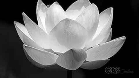 Tin buồn: Thiếu tướng Lê Minh Hiền, nguyên Phó Tham mưu trưởng Quân khu từ trần