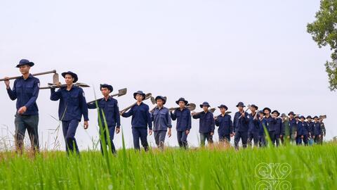 Ban chỉ đạo 515 tỉnh Vĩnh Long, An Giang hoàn thành tốt nhiệm vụ năm 2026