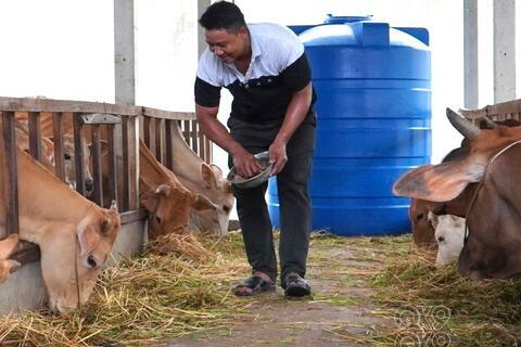 Làm giàu trên đất khó